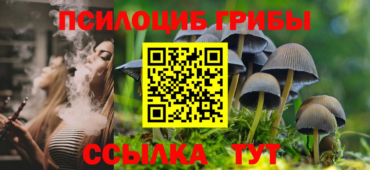 Псилоцибиновые грибы GOLDEN TEACHER Калуга